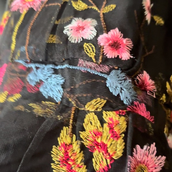 Gorgeous & Sexy Floral Mesh Betsey Johnson Dress w/MINI LINING - Picture 14 of 14